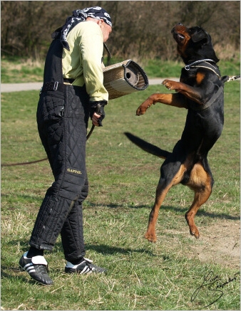 Training in Prague - 2. 4. 2008